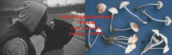 гашиш Коряжма