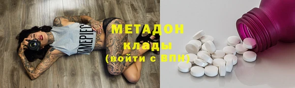 шишки Корсаков