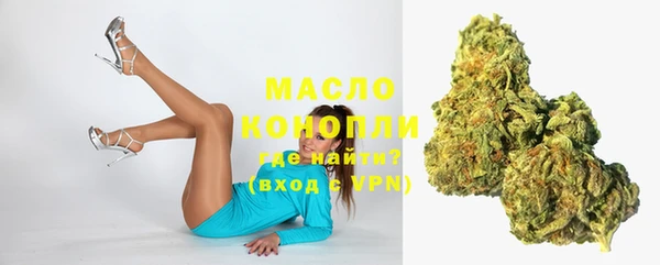 шишки Корсаков