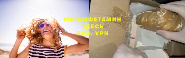 шишки Корсаков