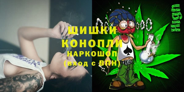 прущие грибы Володарск