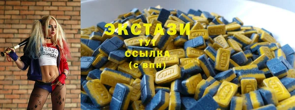 шишки Корсаков