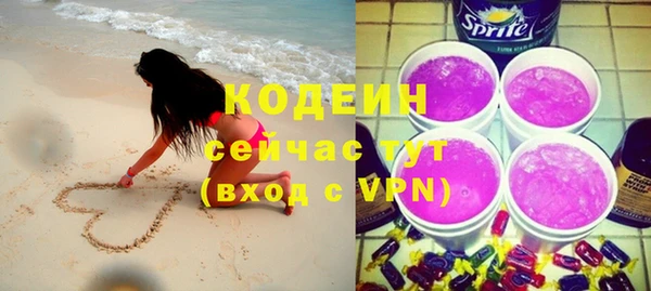 шишки Корсаков