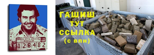 шишки Корсаков