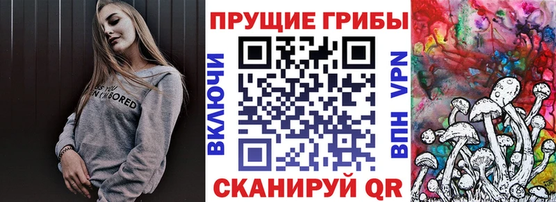 Галлюциногенные грибы мухоморы  mega как войти  Крымск  закладка 